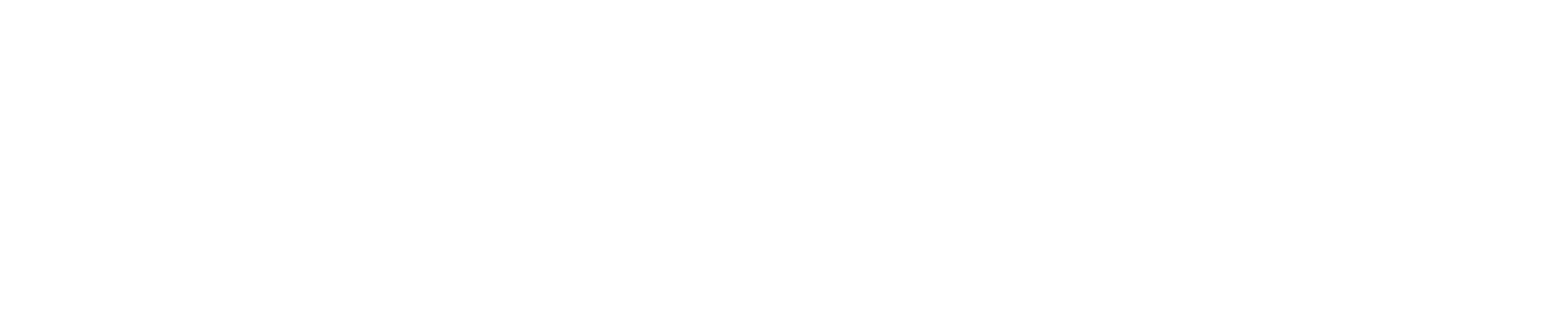The South African Whale Centre